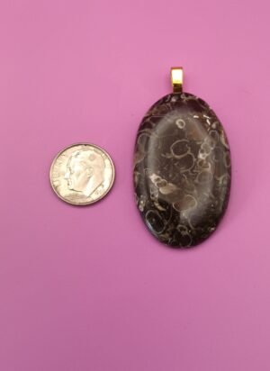 P18 - Turritella Agate