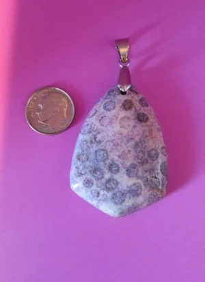 P2 - Fossilized Coral