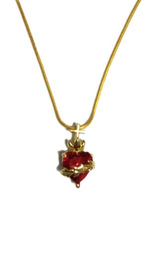 SVN 2 - Red Heart (golden) with 18" chain