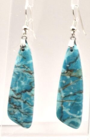 E 31 - Blue Lake Jasper 2