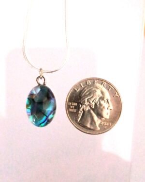 GN 28 - Acrylic Abalone