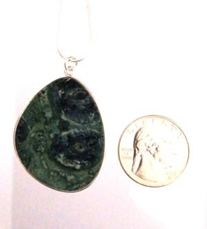 P 48 - Kambaba Jasper