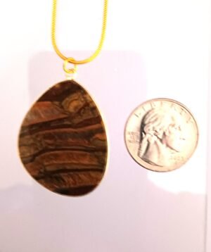 P 50 - Iron Zebra Jasper