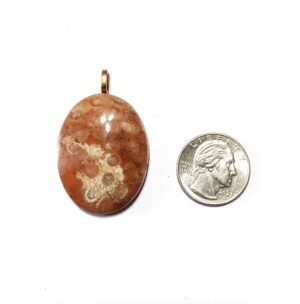 P 59  Fossilized Coral