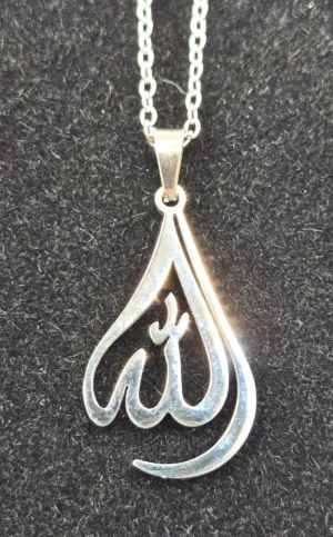 SRI 1 - Delicate Necklace on 18" chain, stainless steel