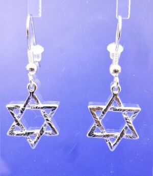 SRJ 2 - Star of David earrings, silver tone