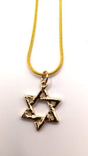 SRJ 6 - Star of David Necklace on 18" chain, gold tone