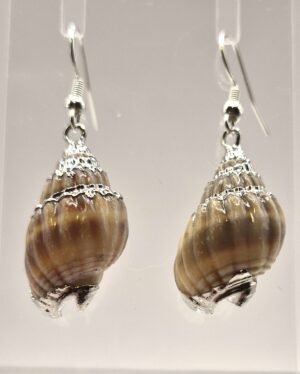 SSE 1 - Shell Earrings with Silver-tone Accents