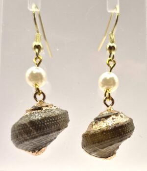 SSE 2 - Shell Earrings with Gold-tone Accents
