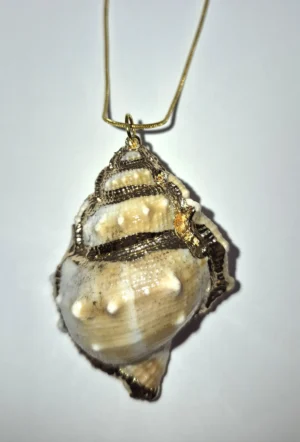 SSN 5 - Authentic Shell - 2.75” x 2” on 24” Gold-tone Chain