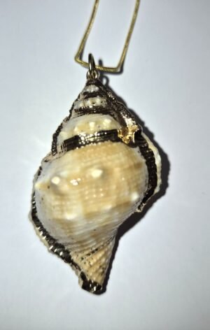 SSN 6 - Authentic Shell - 2.5” x 1.5” on 24” Gold-tone Chain