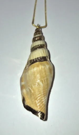 SSN 7 - Authentic Shell - 3” x 1” on 24” Gold-tone Chain